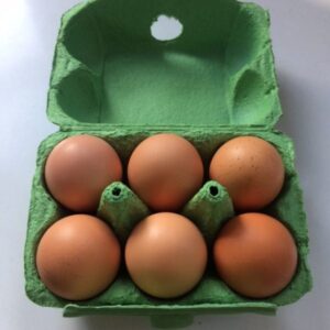 Large Eggs