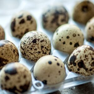 Quail Eggs