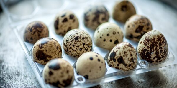 Quail Eggs